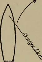An illustration from The boy collector's handbook (1915)