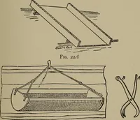 Picture 72 of 103 from The boy collector's handbook (1915), leaf 206