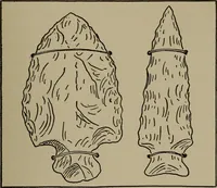 An illustration from The boy collector's handbook (1915)