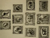 Picture 98 of 103 from The boy collector's handbook (1915), leaf 318