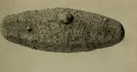 Picture 2 of 103 from The boy collector's handbook (1915), leaf 48