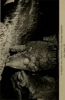 Picture 4 of 103 from The boy collector's handbook (1915), leaf 49