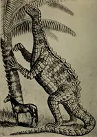 An illustration from The boy collector's handbook (1915)