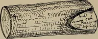 Picture 13 of 103 from The boy collector's handbook (1915), leaf 83