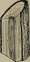Picture 16 of 103 from The boy collector's handbook (1915), leaf 83