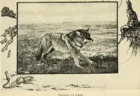 An illustration from The boy craftsman; practical ad profitable ideas for a boy's leisure hours (1905)