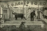 An illustration from The boy craftsman; practical ad profitable ideas for a boy's leisure hours (1905)