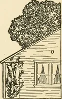 An illustration from The boy craftsman; practical ad profitable ideas for a boy's leisure hours (1905)
