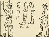 An illustration from The boy craftsman; practical ad profitable ideas for a boy's leisure hours (1905)