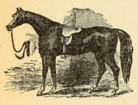 An illustration from Boyd's directory of the District of Columbia (1878)