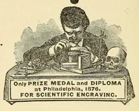 Picture 9 of 13 from Boyd's directory of the District of Columbia (1878), leaf 536