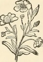 An illustration from The boy engineers; (1880)