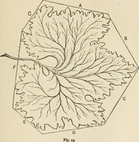 An illustration from The boy engineers; (1880)