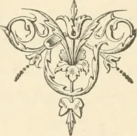 An illustration from The boy engineers; (1880)