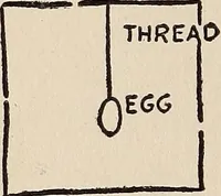 An illustration from The boy magician : a large number of the latest and best tricks carefully selected for the rising generation of conjurers (1922)