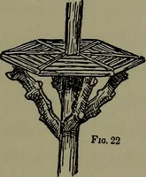 Picture 63 of 75 from The boys' book of carpentry (1922), leaf 206
