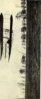 An illustration from The boys' book of model aeroplanes : how to build and fly them : with the story of the evolution of the flying machine (1912)