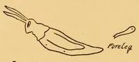 Picture 10 of 13 from Boy's make-at-home things (1912), leaf 186