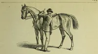 An illustration from The Boy's modern playmate : a book of sports, games, and pastimes (1891)