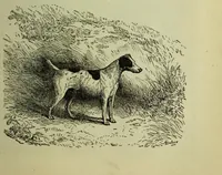 An illustration from The Boy's modern playmate : a book of sports, games, and pastimes (1891)