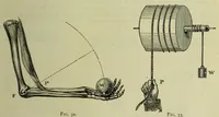An illustration from The Boy's modern playmate : a book of sports, games, and pastimes (1891)