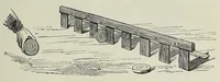 Picture 2 of 13 from The boy's modern playmate : a book of sports, games, and pastimes (1890), leaf 187