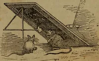Picture 63 of 131 from The boy's own book; (1834), leaf 111