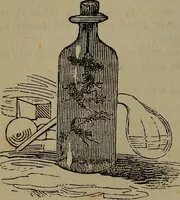 Picture 76 of 131 from The boy's own book; (1834), leaf 137