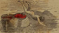 Picture 53 of 131 from The boy's own book; (1834), leaf 84