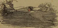Picture 54 of 131 from The boy's own book; (1834), leaf 85