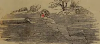 Picture 56 of 131 from The boy's own book; (1834), leaf 88