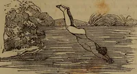 Picture 60 of 131 from The boy's own book; (1834), leaf 94