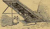 Picture 36 of 184 from Boys' own book : a complete encyclopedia of athletic, scientific, outdoor, and indoor sports (1881), leaf 109