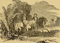 Picture 79 of 184 from Boys' own book : a complete encyclopedia of athletic, scientific, outdoor, and indoor sports (1881), leaf 184