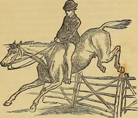 An illustration from Boys' own book : a complete encyclopedia of athletic, scientific, outdoor, and indoor sports (1881)