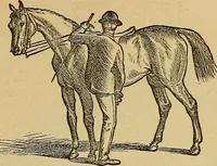 An illustration from Boys' own book : a complete encyclopedia of athletic, scientific, outdoor, and indoor sports (1881)