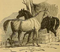An illustration from Boys' own book : a complete encyclopedia of athletic, scientific, outdoor, and indoor sports (1881)