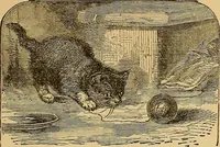 An illustration from Boys' own book : a complete encyclopedia of athletic, scientific, outdoor, and indoor sports (1881)