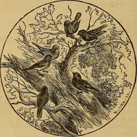 An illustration from Boys' own book : a complete encyclopedia of athletic, scientific, outdoor, and indoor sports (1881)
