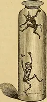 Picture 159 of 184 from Boys' own book : a complete encyclopedia of athletic, scientific, outdoor, and indoor sports (1881), leaf 406