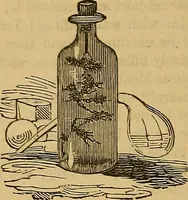 An illustration from Boys' own book : a complete encyclopedia of athletic, scientific, outdoor, and indoor sports (1881)