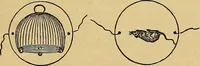 Picture 178 of 184 from Boys' own book : a complete encyclopedia of athletic, scientific, outdoor, and indoor sports (1881), leaf 510