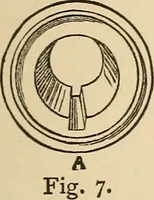 Picture 173 of 478 from The boy's own book of indoor games and recreations : a popular encyclopædia for boys (1890), leaf 152