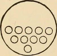 Picture 185 of 478 from The boy's own book of indoor games and recreations : a popular encyclopædia for boys (1890), leaf 163