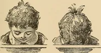 Picture 209 of 478 from The boy's own book of indoor games and recreations : a popular encyclopædia for boys (1890), leaf 208