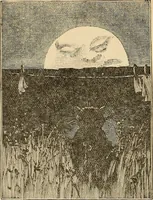 Picture 215 of 478 from The boy's own book of indoor games and recreations : a popular encyclopædia for boys (1890), leaf 223