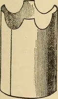 Picture 228 of 478 from The boy's own book of indoor games and recreations : a popular encyclopædia for boys (1890), leaf 240