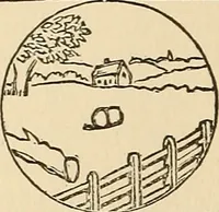 Picture 240 of 478 from The boy's own book of indoor games and recreations : a popular encyclopædia for boys (1890), leaf 249