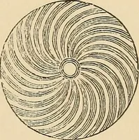 Picture 259 of 478 from The boy's own book of indoor games and recreations : a popular encyclopædia for boys (1890), leaf 262