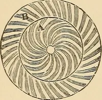 Picture 260 of 478 from The boy's own book of indoor games and recreations : a popular encyclopædia for boys (1890), leaf 263
